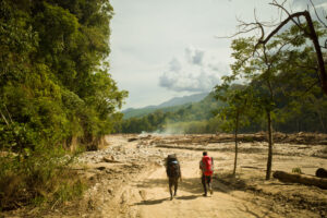 after cyclone
